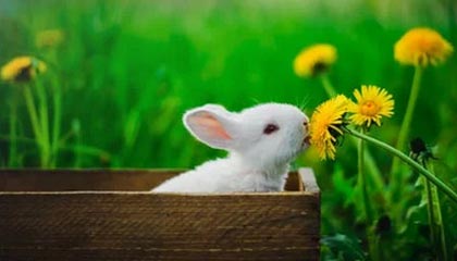 港脚加盟海港，第一天来训练，就发现这里水平很高